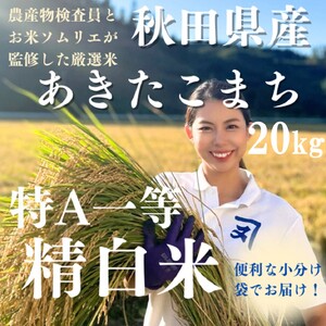 【米農家直送】令和7年産 特Aランク 厳選 秋田県産 あきたこまち 白米 20kg  精米 お米【(株)鈴木又五郎商店】[O2301]