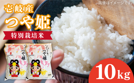 壱岐産米 つや姫 10kg 《壱岐市》【壱岐市農業協同組合】[JBO143]