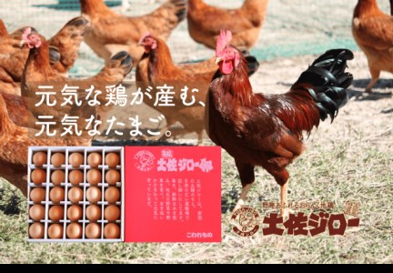 裏庭の土佐ジロー 有精卵 25個入り パック 卵