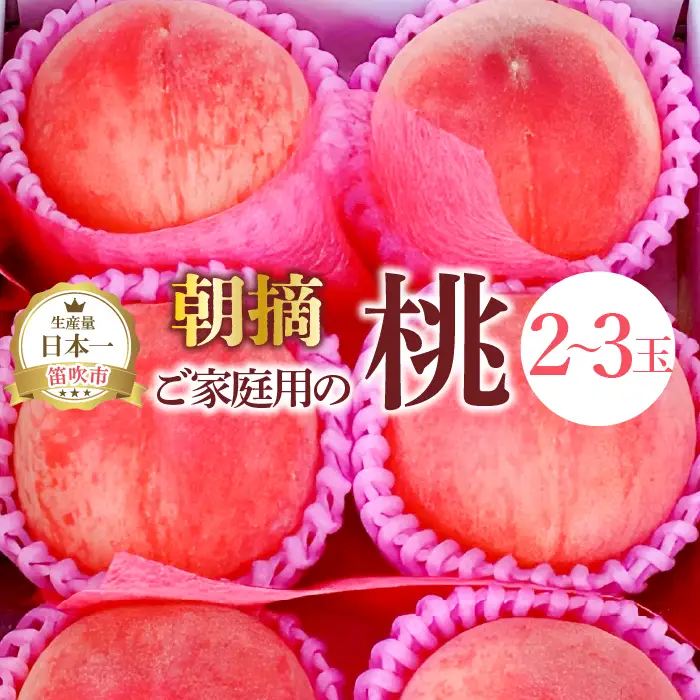 【2026年発送★先行予約】ご家庭用の桃2～3玉 111-022-26y