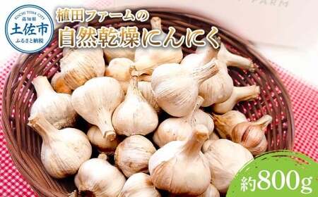 植田ファームの自然乾燥にんにく800g 800グラム ニンニク ガーリック おつまみ お酒 料理 醤油漬け ガーリックオイル ペペロンチーノ パスタ スパゲッティ【株式会社　植田ファーム】 [BQAT004]