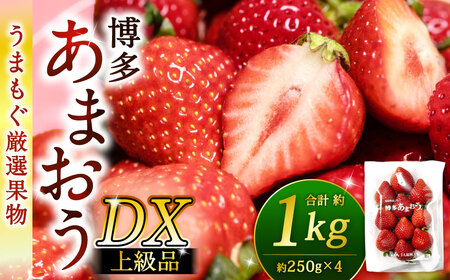 福岡県産特産品 うまもぐ厳選果物 福岡県産 博多あまおう DX上級品 約1kg（約250g×4パック入り）【2027年2月上旬-3月上旬発送】あまおう いちご 苺 イチゴ 果物 フルーツ