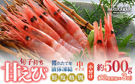 旬子持ち甘えび 小分け 約500g【12尾前後 × 3袋】中サイズ 鮮度格別 獲れたてを液体凍結 甘エビ 海老 お刺身 [m36-a014]
