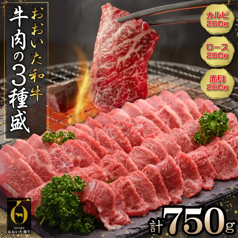おおいた和牛　牛肉の3種盛(カルビ・ロース・赤身)合計750g G10