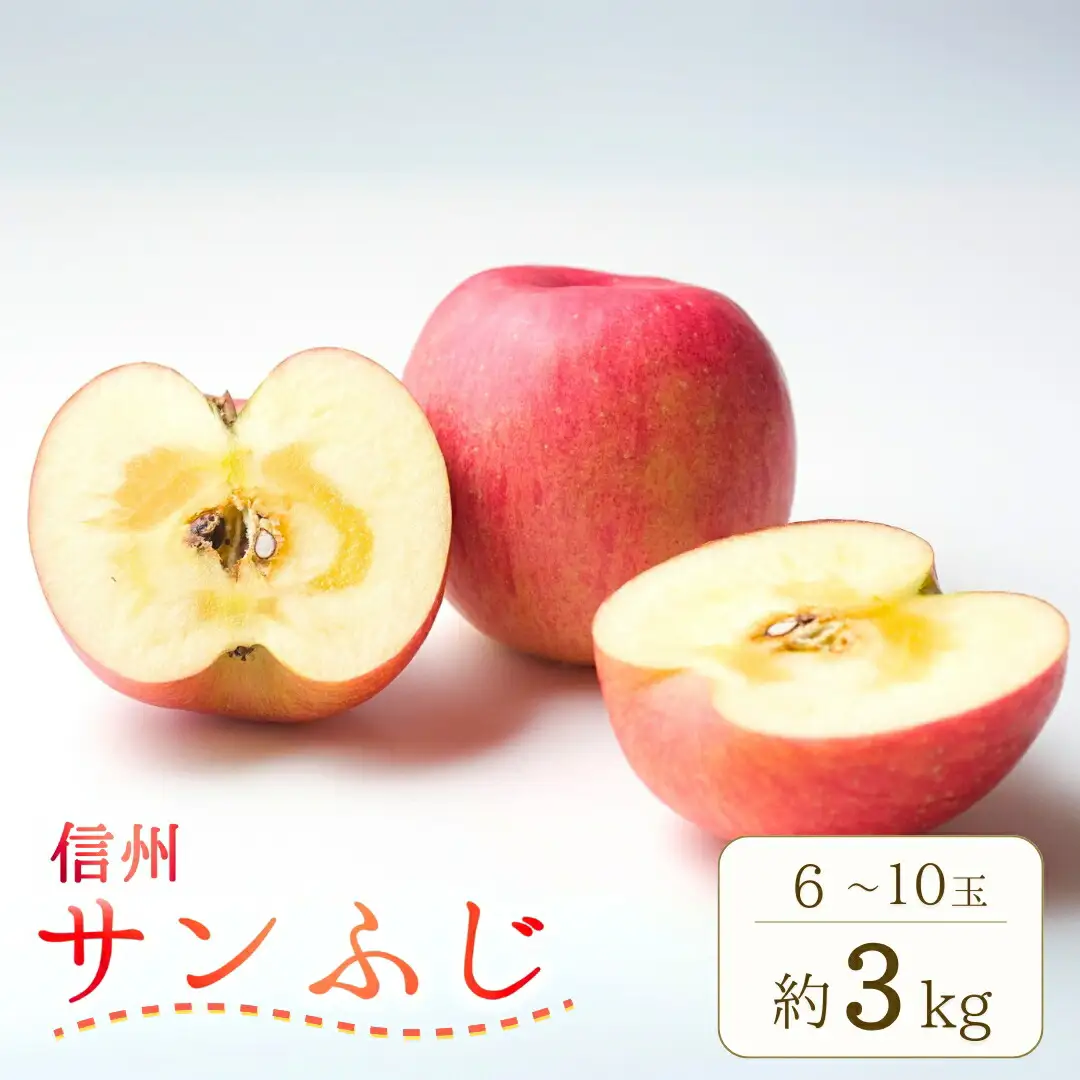 【2026年先行予約】りんご サンふじ 約3kg (6~10玉) |りんご