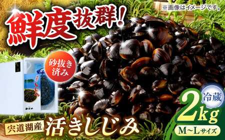 しじみ しじみ 砂抜き不要！ 活ヤマトシジミ 生しじみ 2kg 島根県松江市/株式会社漁師村[ALDN003] しじみ しじみ