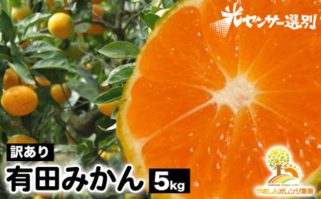 【先行受付】【訳あり】有田みかん 5kg ｜ みかん みかん みかん みかん みかん