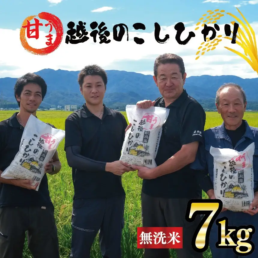 無洗米 7kg 令和7年産 コシヒカリ 新潟 toushin005_02