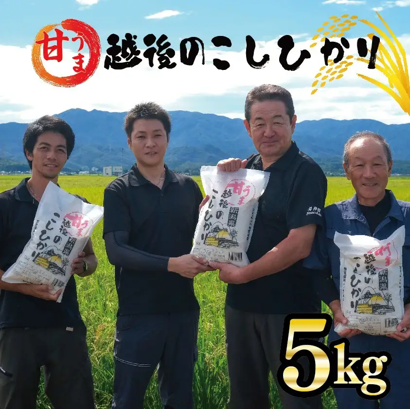 【新潟 コシヒカリ】5kg 令和7年産 甘うま越後のこしひかり コシヒカリ 白米 toushin004_04