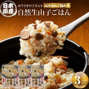 【炊き込みご飯の素】日本原産種の山芋とその子実入り自然生山子ごはん 150g×3パックセット