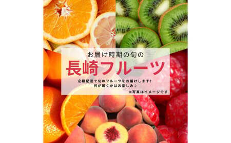 【年4回定期便(1月・2月・3月・4月配送)】お任せフルーツ！ M  ／  フルーツ 果物 くだもの 旬 おまかせ お任せ お楽しみ 長崎県 長崎市