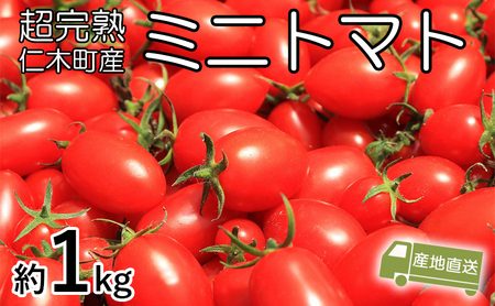 8月発送開始[2026年発送] 超完熟ミニトマト【 アイコ 】1kg 栽培期間中 農薬・除草剤不使用 サイズ混載 トマト ミニトマト 野菜 北海道 仁木町 [アイコファーム] 