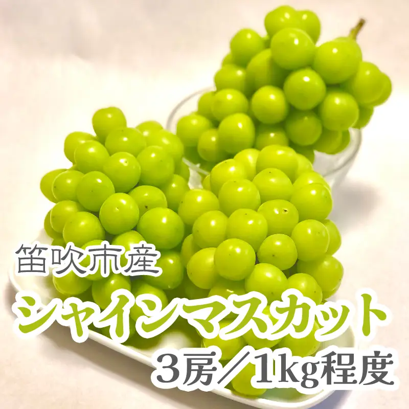 【2026年発送★先行予約】こだわりの逸品！　甘さと香り際立つ山梨県産シャインマスカット3房(合計1kg程度) 229-002-26y