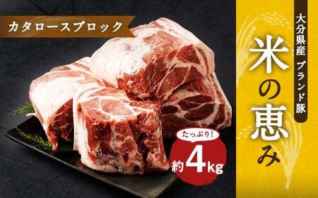 大分県産ブランド豚 奥豊後豚（米の恵み） カタロースブロック 4kg (2.0kg×2) 豚肉 肩ロース