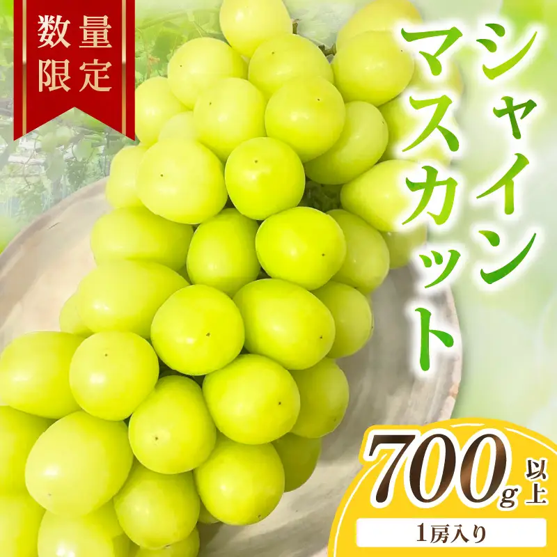 【先行予約／数量限定50】シャインマスカット 700g以上（1房入り）（2026年9月上旬～発送）