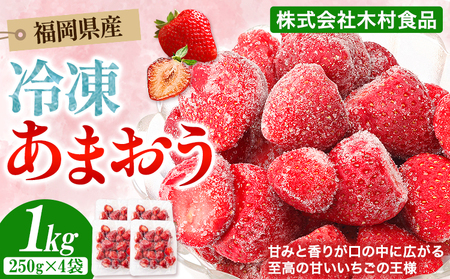 福岡県産 冷凍あまおう 小分けパック 1kg(250g×4袋) 株式会社木村食品《30日以内に出荷予定(土日祝除く)》福岡県 小竹町 冷凍あまおう いちご 冷凍フルーツ 果物 送料無料