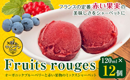 Fruits rouges (フリュイ ルージュ) オーガニックブルーベリー と 赤い果実 の ミックス シャーベット120ml × 12個 