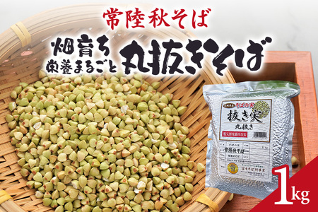 常陸秋そば 畑育ち 栄養まるごと 丸抜きそば 1kg そば 蕎麦 ソバ ブランド 健康 美容 グルテンフリー スーパーフード ギフト 茨城県産 国産 84-C