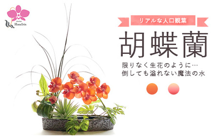 胡蝶蘭 観葉植物 人工 花 【草月流師範免許取得者所属】＼花一凛オリジナルデザイン／『選べるカラー』 光触媒 Artis Phalaeno アーティスファレノ 神奈川 相模原 アトリエ 花一凛 ※北海道・沖縄・離島への配送不可