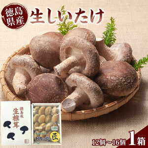 徳島県産 生しいたけ  1箱(12個～16個）