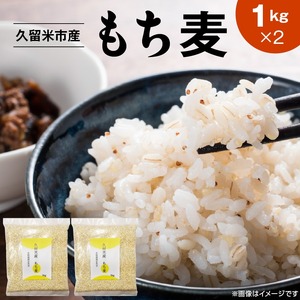 久留米市産もち麦（1kg×2）_久留米市産 もち麦 1kg × 2 九州産 くすもち二条 食物繊維 豊富 満腹感 豊富な栄養素 タンパク質 ビタミン ミネラル 免疫向上 もちもち食感 水洗い不要 吸水不要 手軽 簡単 食品 福岡県 久留米市 お取り寄せ 送料無料 〔Gr053〕