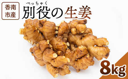 生姜 8kg【生姜 生姜 生姜 生姜 生姜】 bc-0016