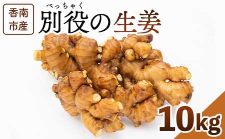 生姜 10kg【薬味 薬味 薬味 薬味 薬味】 bc-0017