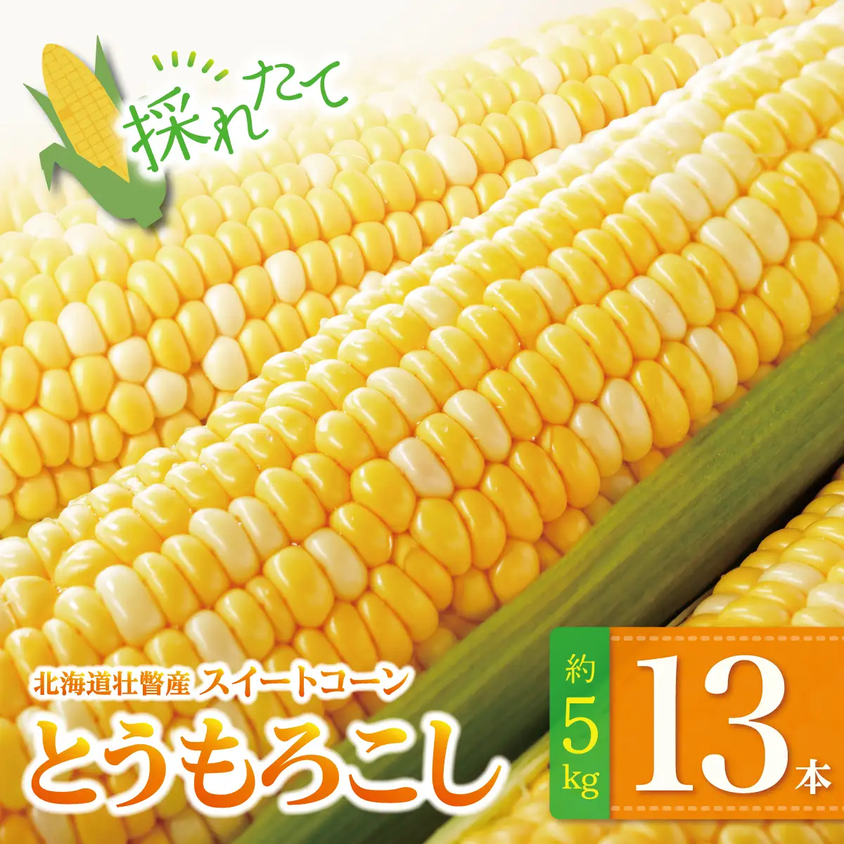 ＜2026年8月上旬よりお届け＞北海道壮瞥産 とうもろこし（スイートコーン）13本 約5kg SBTN001