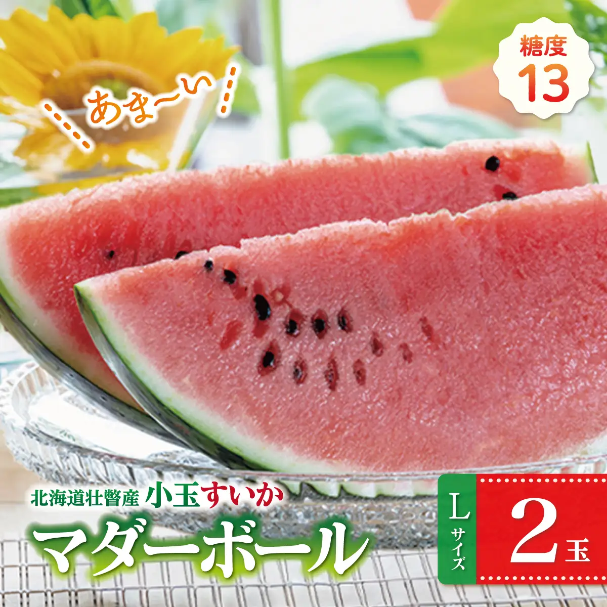 ＜2026年8月上旬よりお届け＞北海道壮瞥産　新山すいか 小玉すいか（マダーボール）Lサイズ2玉 スイカ SBTN002