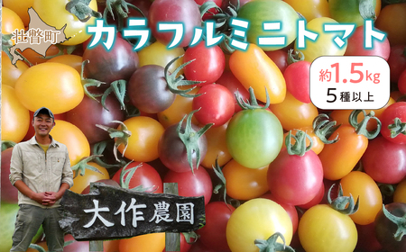 ＜2026年7月上旬よりお届け＞北海道壮瞥産 大作農園のカラフルミニトマト約1.5kg(5種以上) SBTR002