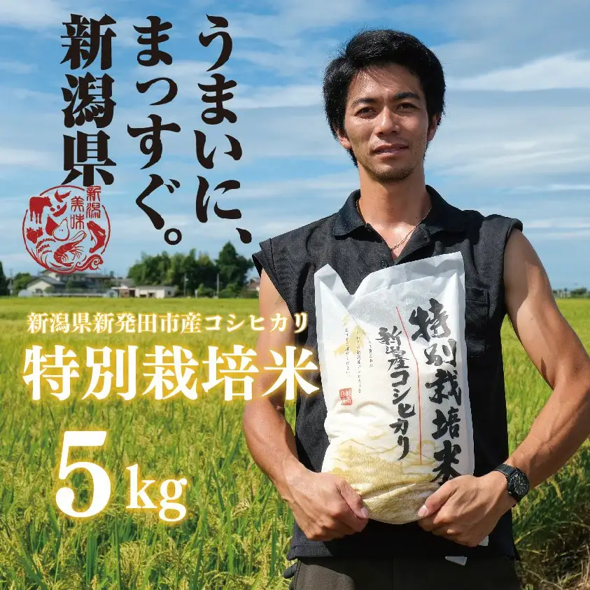 米 5kg 令和7年産 コシヒカリ toushin002_03