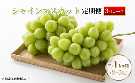 【定期便】【2026年先行予約】 ぶどう 岡山県産 シャインマスカット 1kg箱（各2～3房） 定期便 3回 《2026年10月中旬-12月上旬頃出荷》 葡萄 ブドウ 岡山県産 フルーツ 果物 数量限定