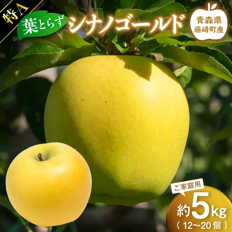 【先行予約】シナノゴールド 特A ご家庭用 約5kg（12～20個）りんご リンゴ 林檎 果物 フルーツ F41-0028