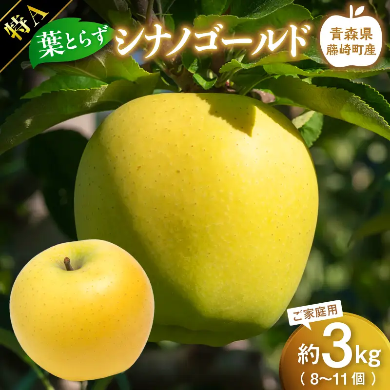 【先行予約】シナノゴールド 特A ご家庭用 約3kg（8～11個）りんご リンゴ 林檎 果物 フルーツ F41-0027