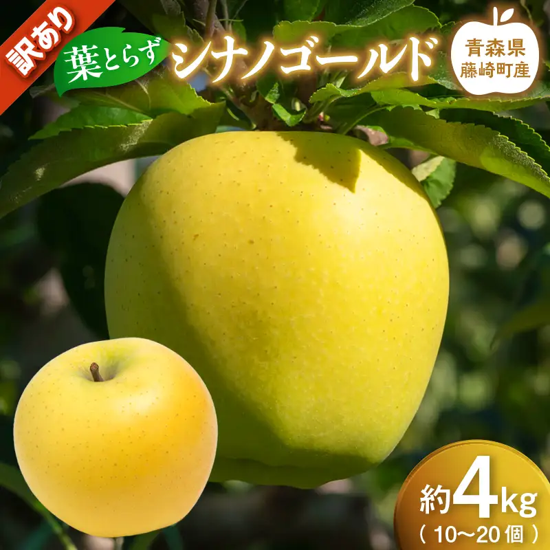【先行予約】シナノゴールド 訳あり 約4kg（10～20個）りんご リンゴ 林檎 果物 フルーツ F41-0029
