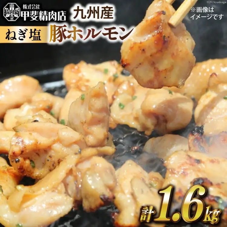 ホルモン 九州産 ねぎ塩 ホルモン 200g 8袋 計 1.6kg [甲斐精肉店 宮崎県 日向市 452060692]
