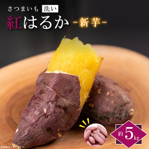 【2026年9月より順次発送】農産物直売所「やさいの声」紅はるか 新芋 洗い 約5kg|さつまいも サツマイモ 紅はるか 洗い 行方市 ふるさと納税(EK-9)