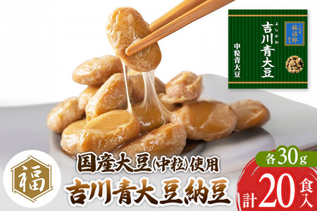 二代目福治郎納豆　吉川青大豆納豆【中粒】10袋（1袋×2食入）計20食
