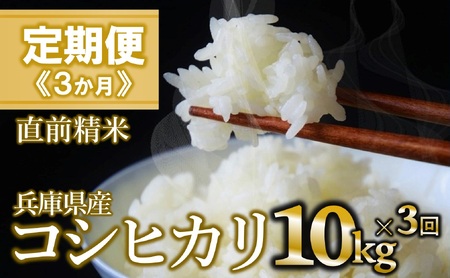 【定期便/３回】コシヒカリ 白米10kg ×3か月連続お届け