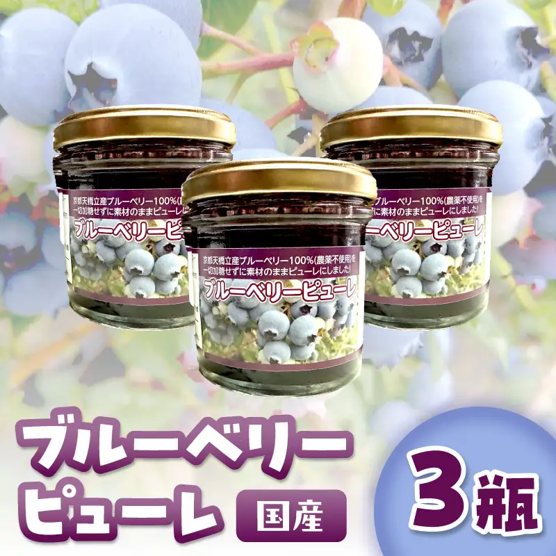 国産ブルーベリーピューレ3瓶 農薬不使用｜ベリー