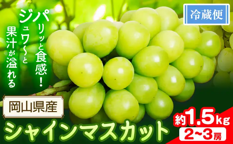 シャインマスカット 1.5kg (2-3房) 花田青果株式会社 マスカット