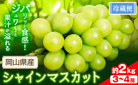シャインマスカット 約2kg (3-4房) 花田青果株式会社 シャインマスカット