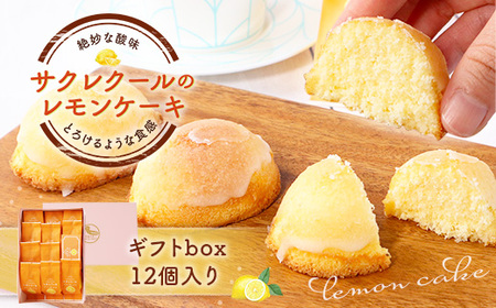 レモンケーキ ギフトbox 12個入り　BJ004