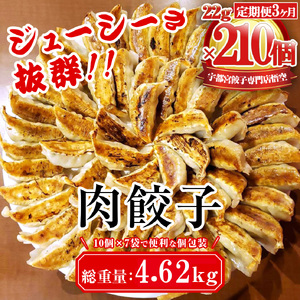 【3ヶ月定期便】餃子専門店 宇都宮 悟空 肉餃子 22g×70個入×3ヶ月