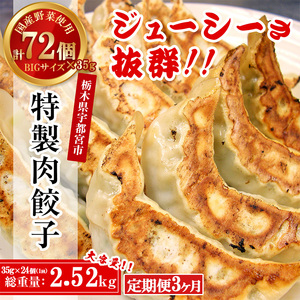 【3ヶ月定期便】 餃子専門店 宇都宮 悟空 特製肉餃子24個入×3ヶ月