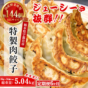 【6ヶ月定期便】 餃子専門店 宇都宮 悟空 特製肉餃子24個入×6ヶ月