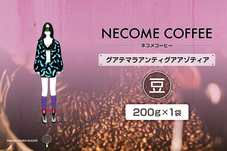 グアテマラアンティグアアゾティア(豆)　【0097-016-1】 ｺｰﾋｰ 珈琲 ｺｰﾋｰ豆 ﾄﾞﾘｯﾌﾟｺｰﾋｰ 飲料