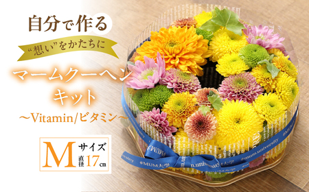 【マームクーヘン キット】～Vitamin/ビタミン～