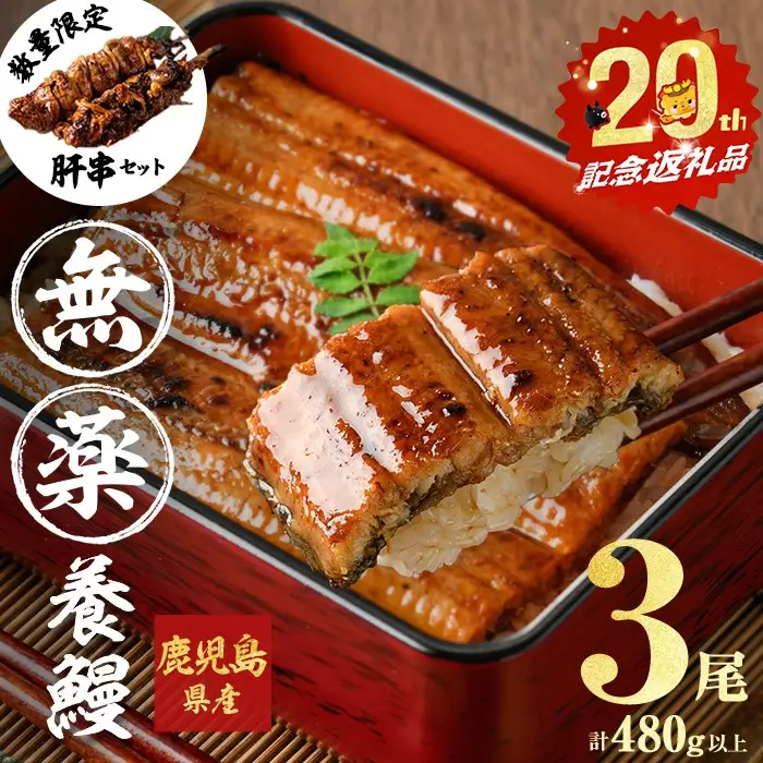 うなぎ 蒲焼 山田 鹿児島産 3尾 (計480g以上) 肝串セット 【ポータル限定】 a6-062-km