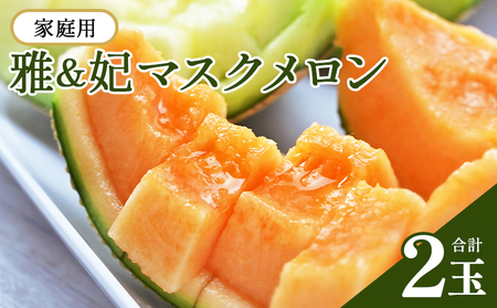 【11月以降順次配送】高知県産 マスクメロン ２玉 家庭用 【 赤肉青肉セット フルーツ くだもの フルーツ メロンの返礼品 】 香南市 tn-0026